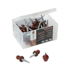 Castorama Lot De 40 Vis Easy-Tuile Rouge